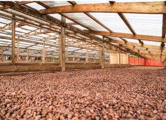Icam Cioccolato rilascia il quinto bilancio di sostenibilità